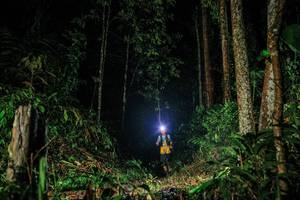 BIB: 
                            <button type="button" onclick="openModal(26207555)" class="btn btn-primary btn-sm float-right btn-popup" data-toggle="modal" data-target=".modal-high-quality">
                        <i class="fas fa-shopping-cart"></i> Add to Cart
                    </button>
                                            <button type="button" onclick="isThisMe(26207555, true)" class="btn btn-success btn-sm float-right btn-popup btn-isme hidden" data-toggle="tooltip" data-placement="bottom" title="นี่คือรูปของคุณใช่ไหม คลิกที่นี่เพื่อเอาเข้าอัลบั้ม">
                        <i class="fas fa-plus"></i> Add to album
                    </button>
                    <button type="button" onclick="isThisMe(26207555, false)" class="btn btn-warning btn-sm float-right btn-popup btn-isnotme hidden">
                        <i class="fas fa-ban"></i> Remove from album
                    </button>